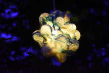 Load image into Gallery viewer, Blue Bubble Portable Small Wool Lamp