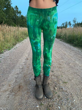 Load image into Gallery viewer, Spring Forest Leggings